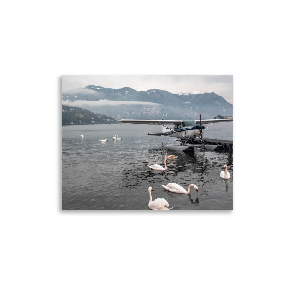 Swan Dive on Lake Como