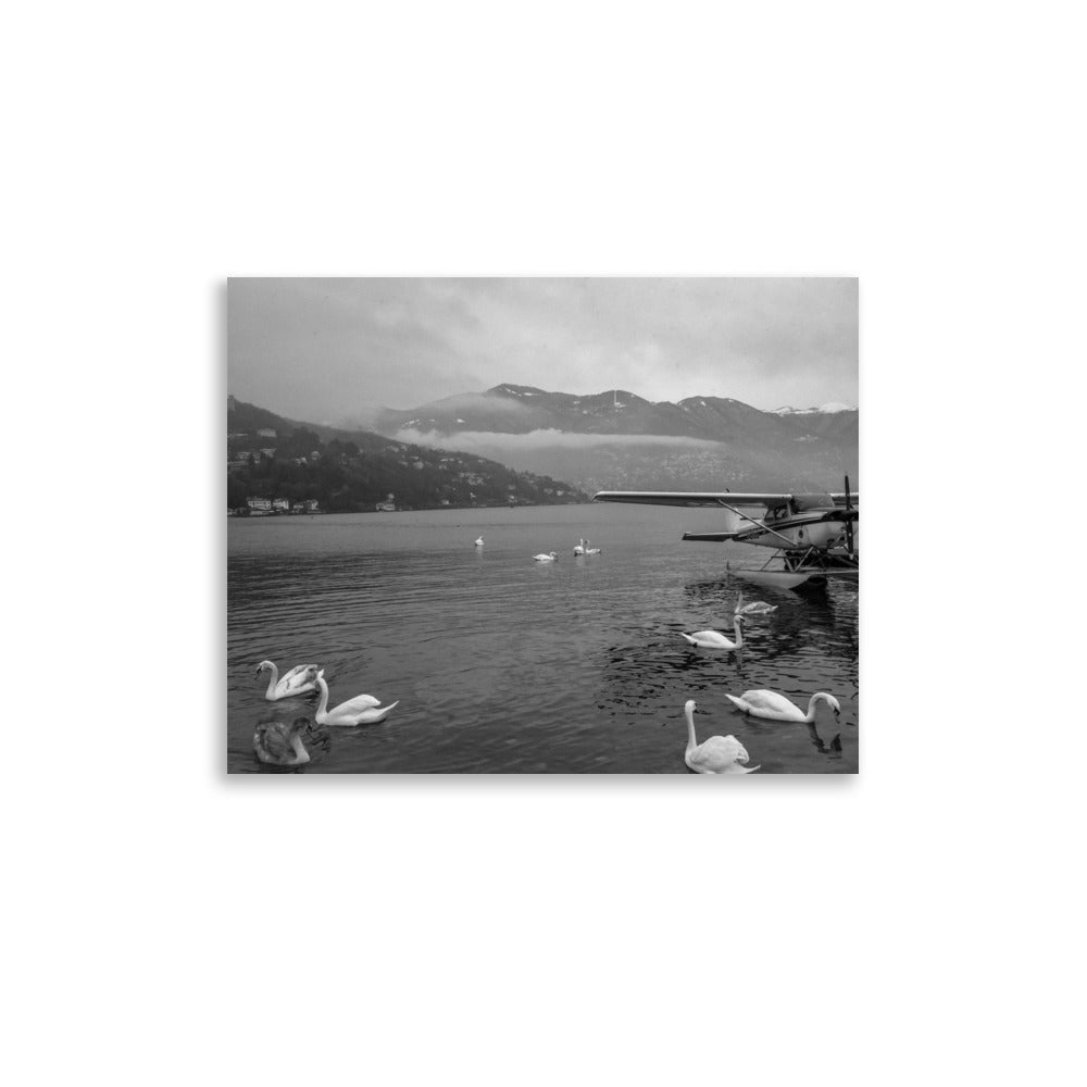 Swan Dive on Lake Como (Black and White)