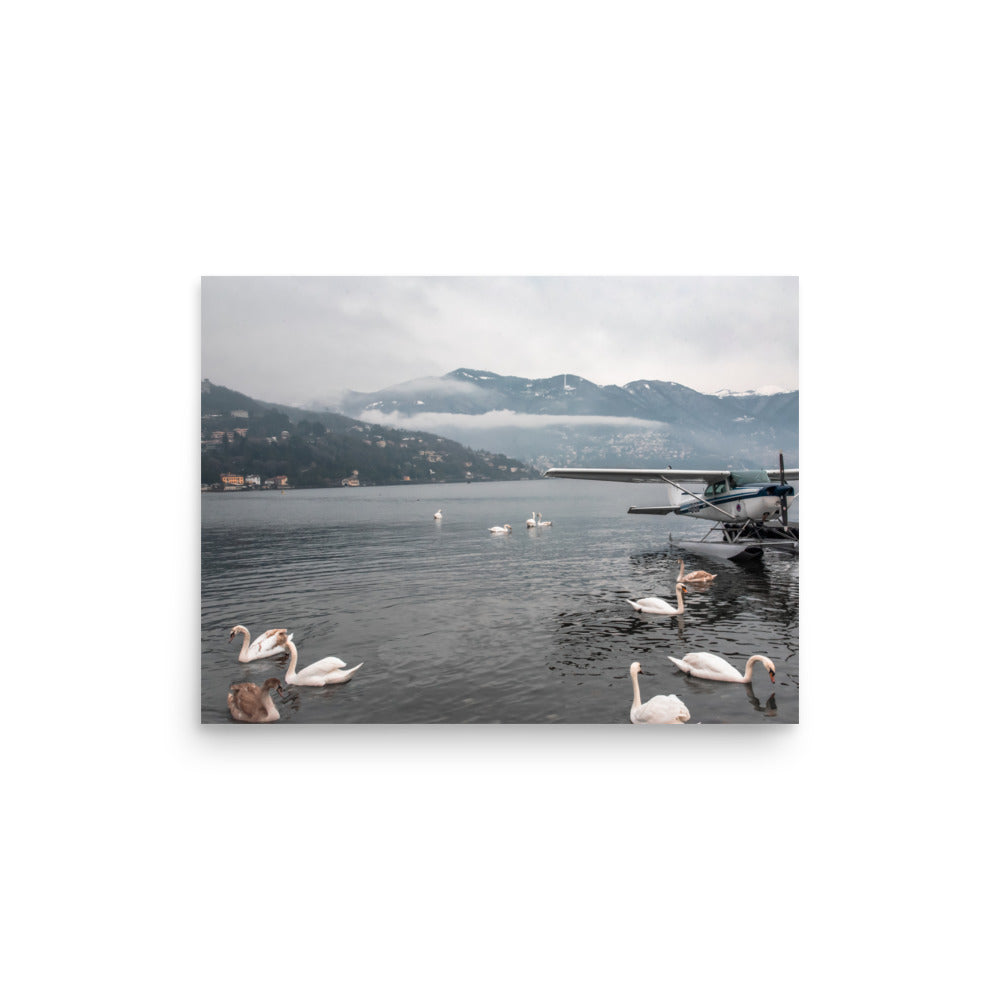 Swan Dive on Lake Como