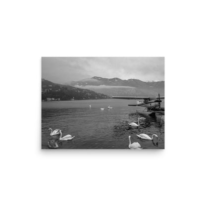 Swan Dive on Lake Como (Black and White)