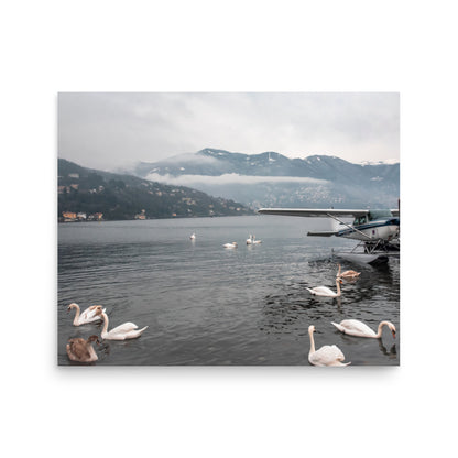Swan Dive on Lake Como