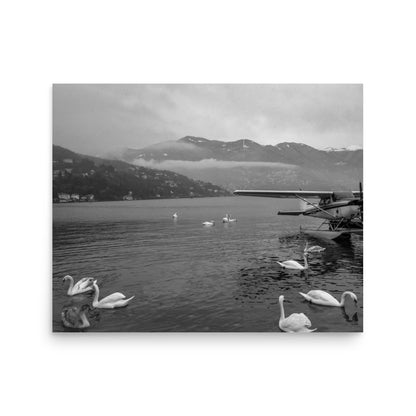 Swan Dive on Lake Como (Black and White)