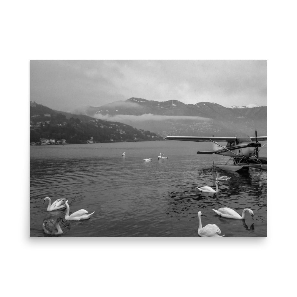 Swan Dive on Lake Como (Black and White)