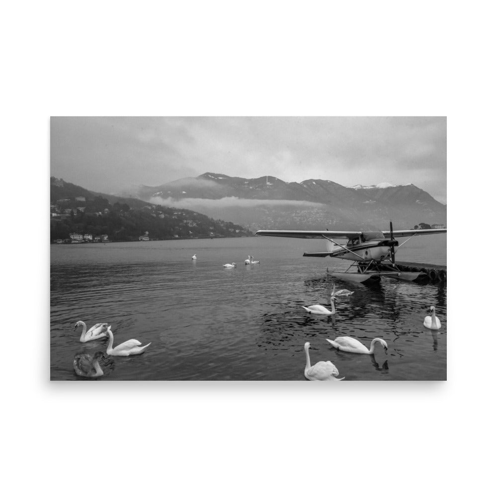 Swan Dive on Lake Como (Black and White)