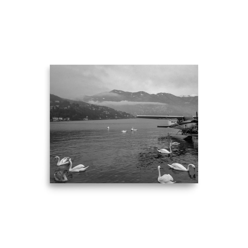 Swan Dive on Lake Como (Black and White)